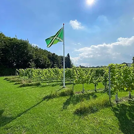 Achterhoeks Goed In Lichtenvoorde-vragender 3* Vragender