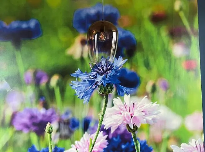 Achterhoeks Goed In Lichtenvoorde-vragender