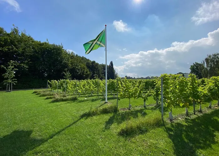 Bed & Breakfast Achterhoeks Goed In Lichtenvoorde-vragender 3*