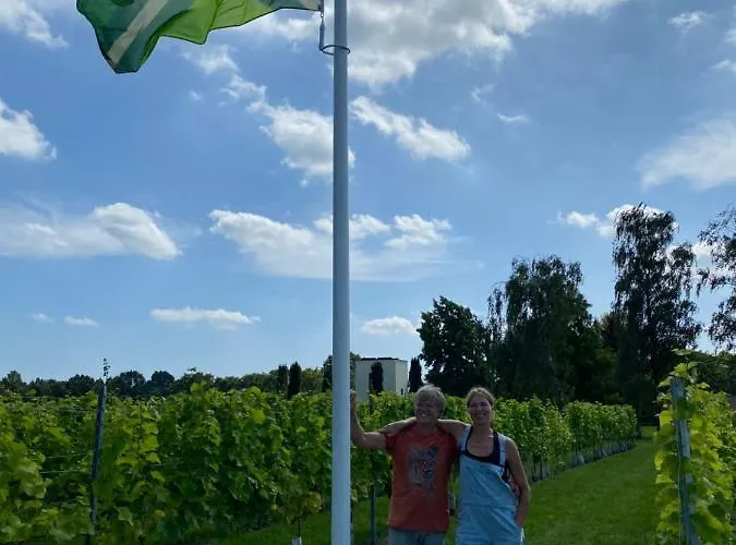 Achterhoeks Goed In Lichtenvoorde-vragender B&B