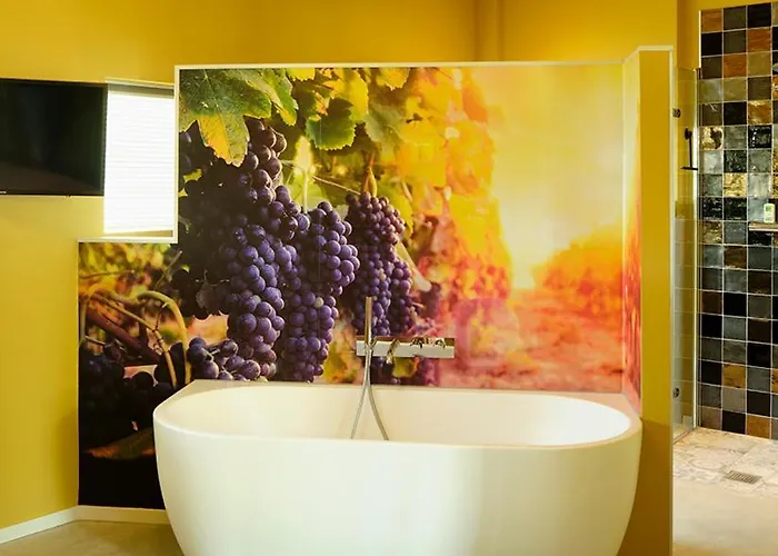 Achterhoeks Goed In Lichtenvoorde-vragender 3*